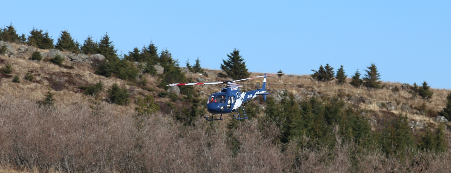 Lúlli Heli 5.jpg