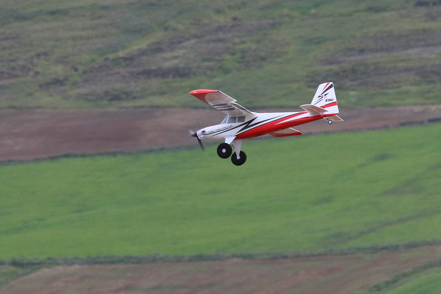 IMG_6578.jpg