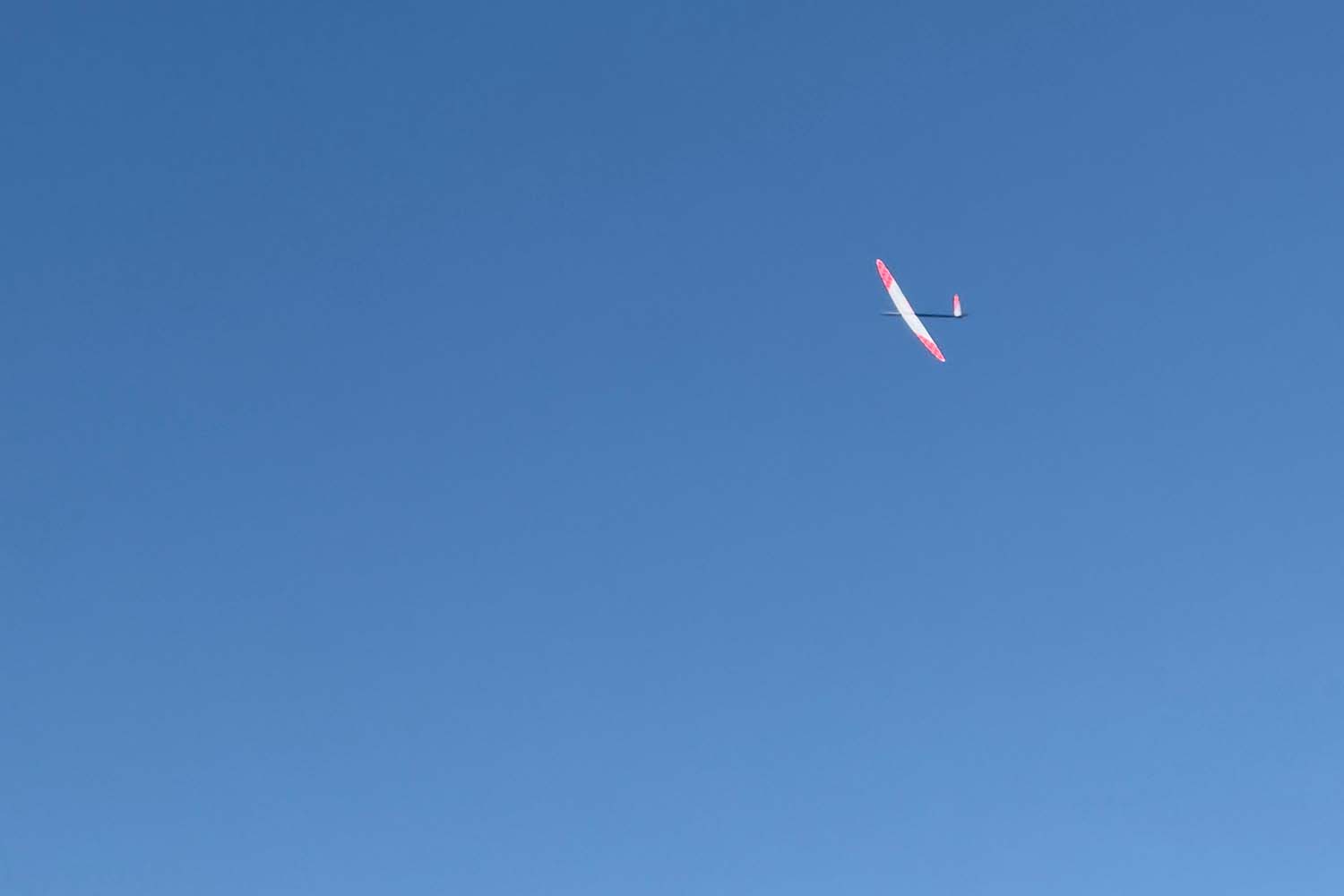 IMG_5923.jpg
