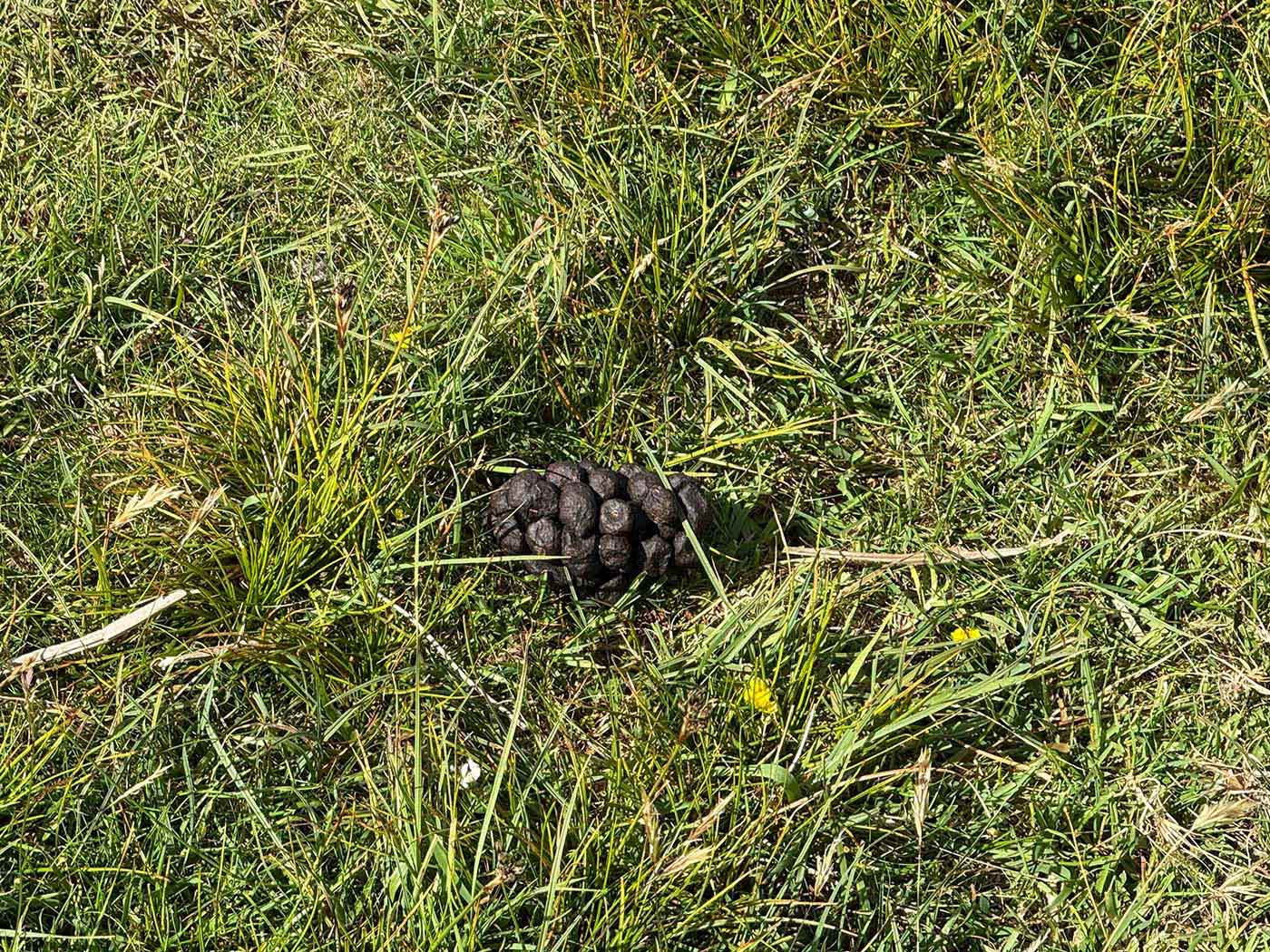 IMG_6716.jpg