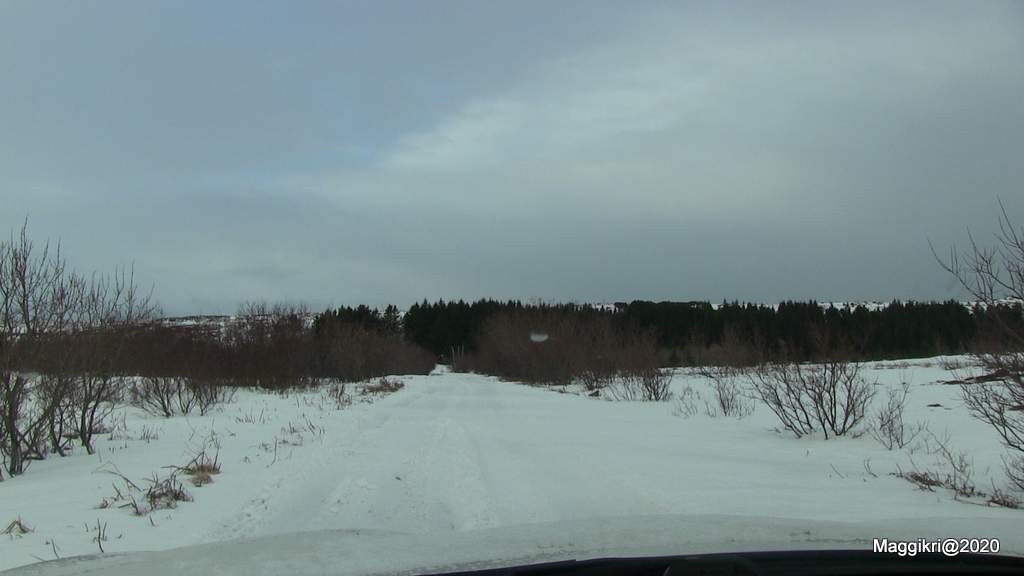 IMG_9175.JPG