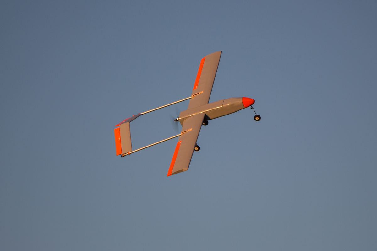 IMG_9521.jpg